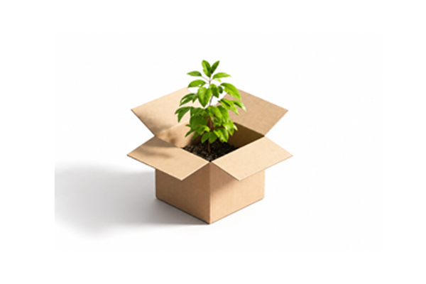 Sustainable Packaging Solutions